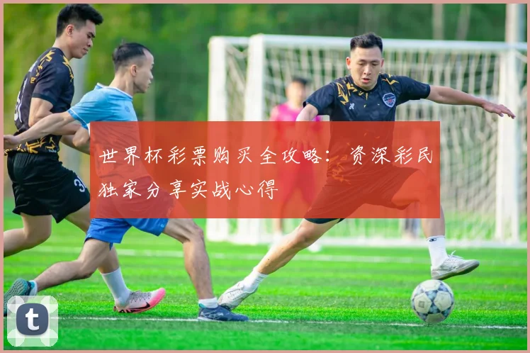 世界杯彩票购买全攻略:资深彩民独家分享实战心得