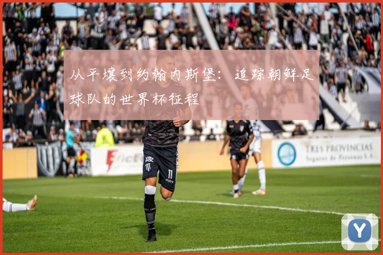 从平壤到约翰内斯堡：追踪朝鲜足球队的世界杯征程