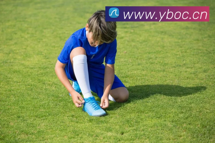 星空体育首页官方网站平台生态图